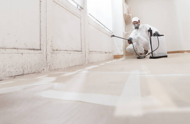 24/7 Emergency Attic Mold Remediation experts in Georgetown, IL